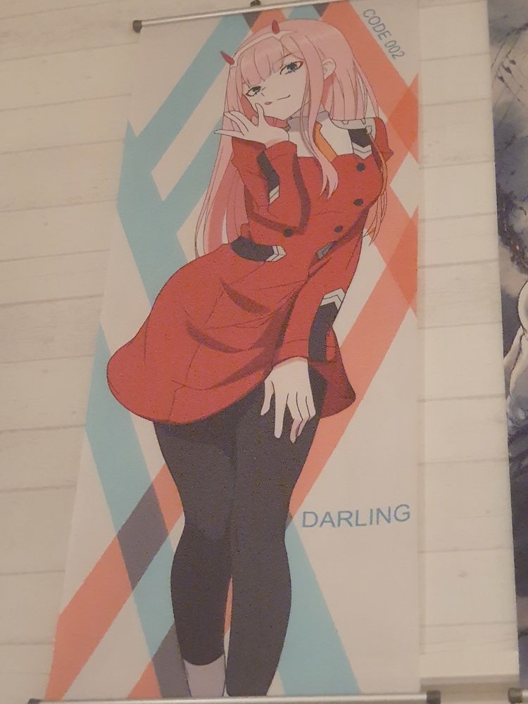 Poster darling in the franxx 20 Bourg-en-Bresse (01)