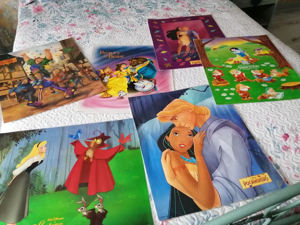 POSTERS PLASTIFIES 10 Millau (12)