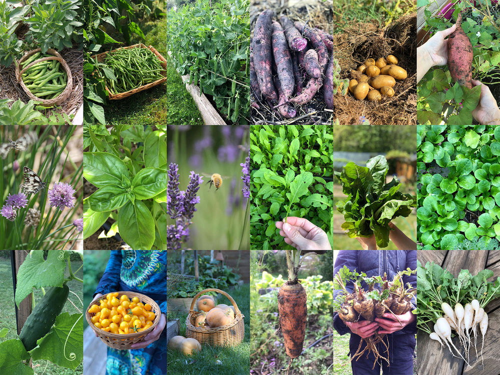 Mon Potager au Naturel 18 Montfermeil (93)