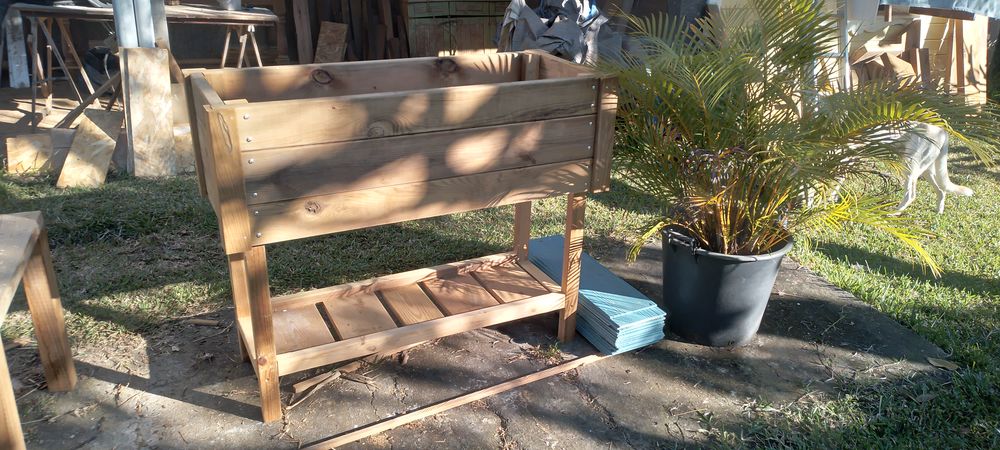 Potager sur pied. 150 Entre-Deux (97)