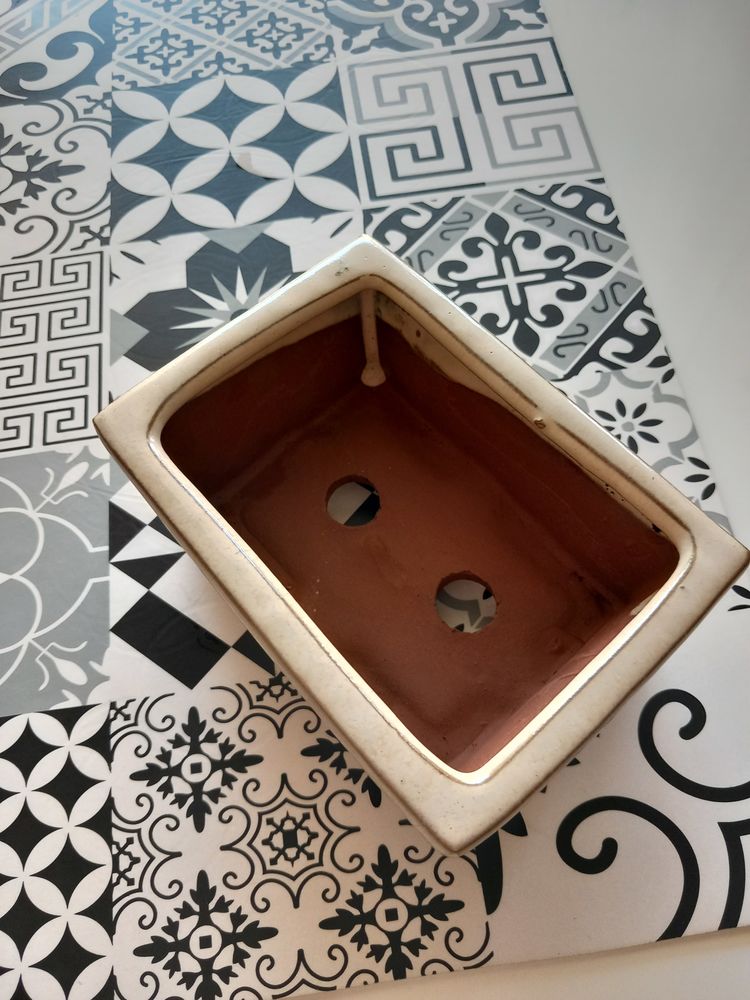 Poterie pour Bonsa� 13 Dijon (21)