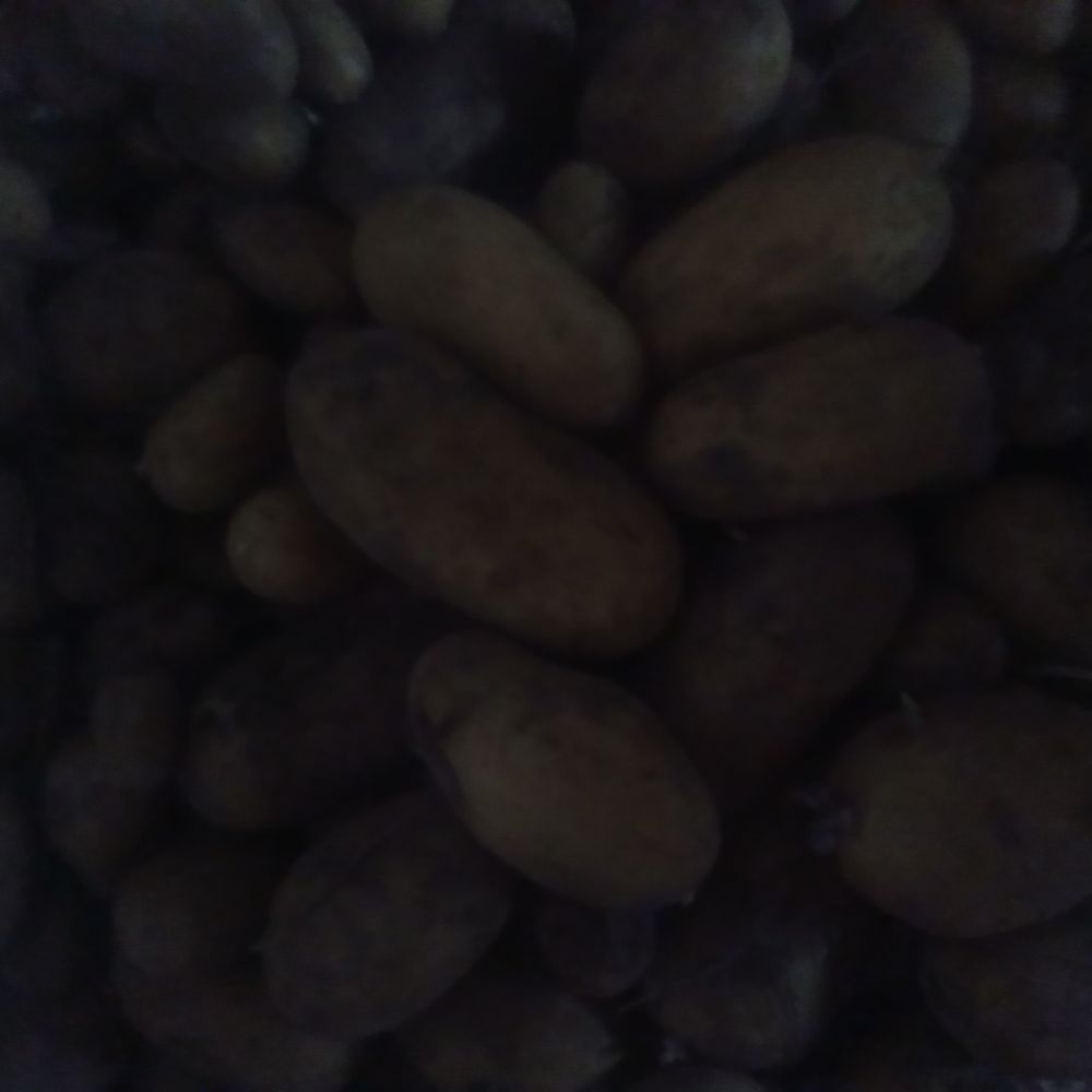 Potiron pommes de terre  1 Quimper (29)