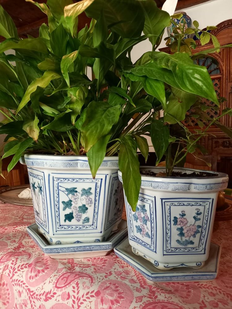 Pots chinois d'origine en c�ramique bleue
70 Cavaillon (84)