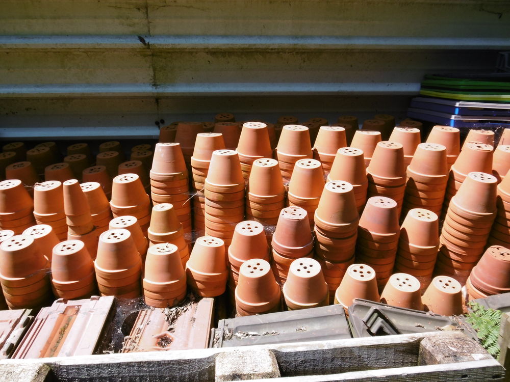 pots de culture 5 Gouville-sur-Mer (50)