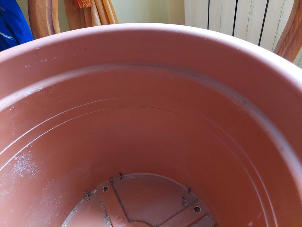 2 pots diam�tre 38 cm 15 Toulon (83)