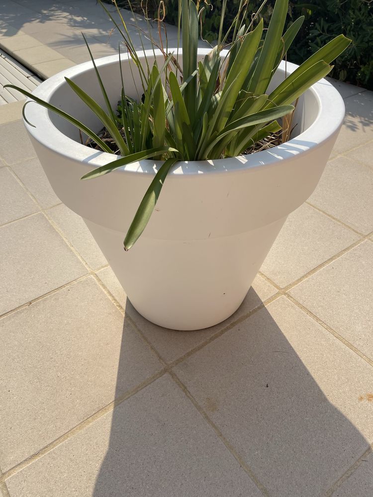 2 pots pour plantes ext�rieur / int�rieur 170 Saint-Junien (87)