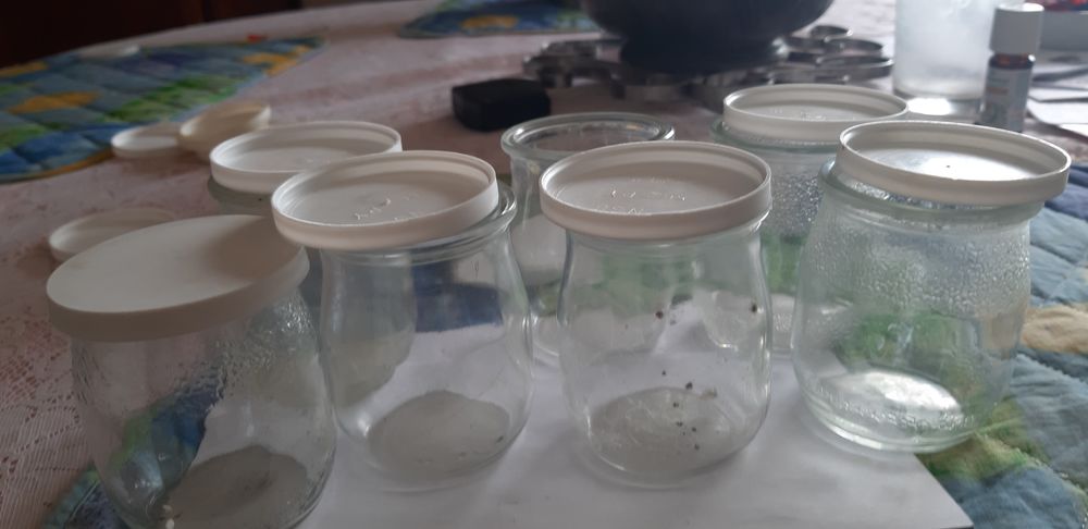 Pots de yaourts en verre 0 Saint-Witz (95)