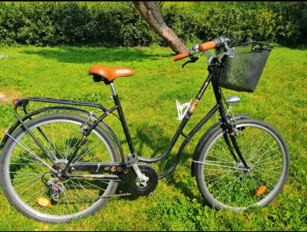 VTC 28 pouces GO SPORT 59 Challans (85)