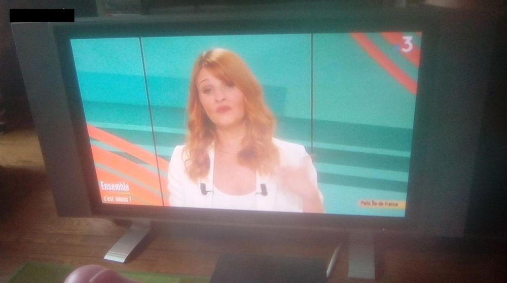 TV 42 pouces 100 Beauchamp (95)