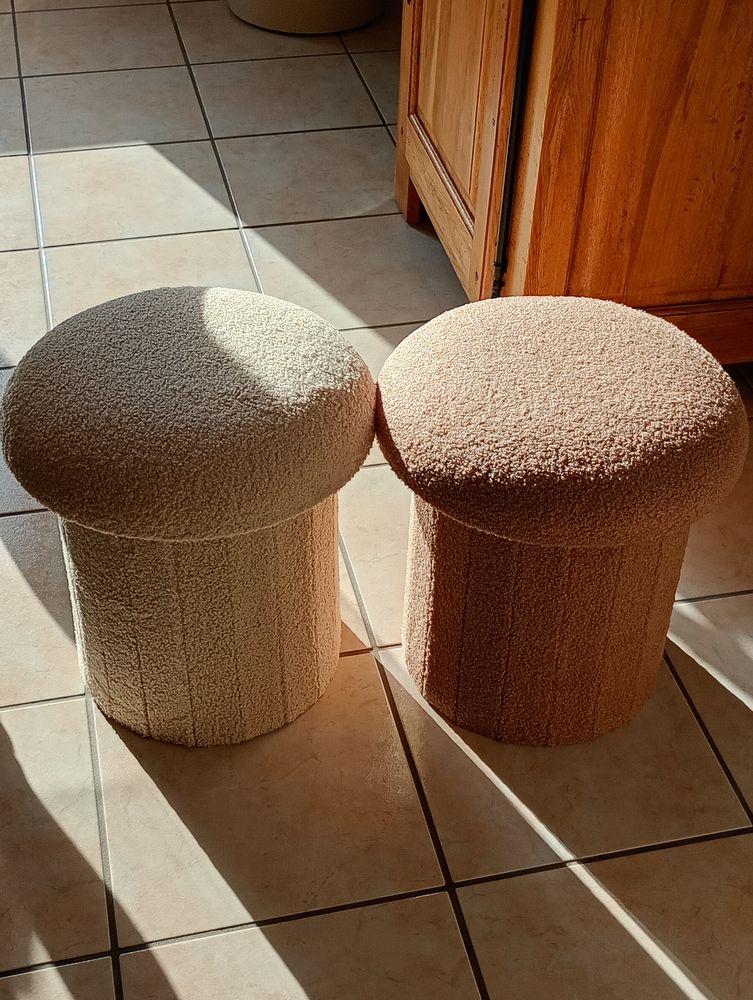 Pouf rangement d�coratif 20 Brienne-le-Ch�teau (10)