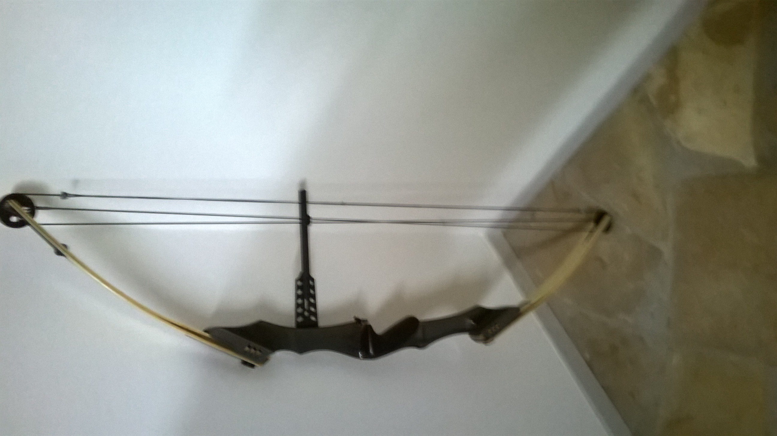 Arc a Poulie Gaucher 300 Le Passage (47)