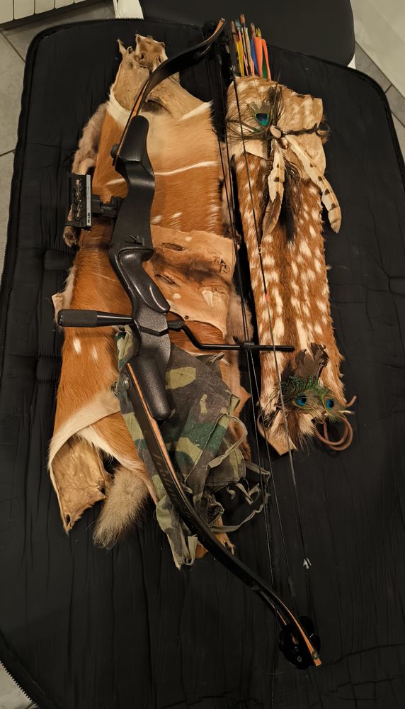 Arc � poulie 320 Castelnaudary (11)