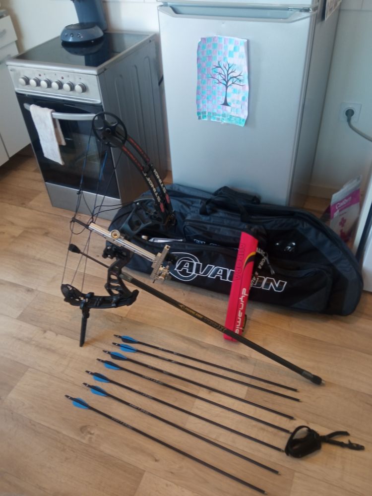 Arc a poulies pse stinger extr�me 550 Othis (77)