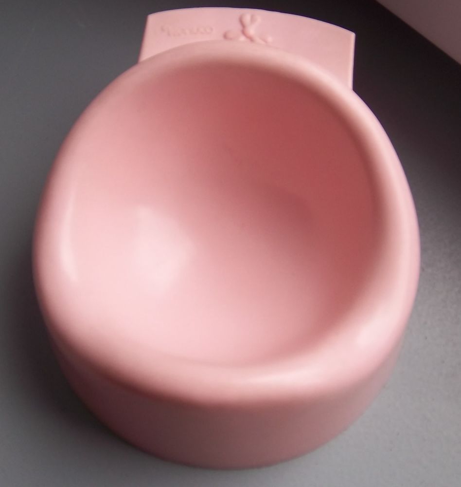 Pot poup�e Famosa rose 4 Colombier-Fontaine (25)