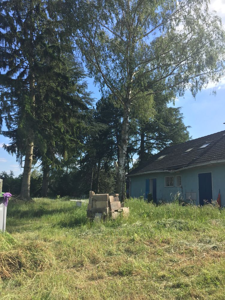 pour ceux qui souhaite jardiner sur mon terrain
Gratuit 1 �zanville (95)