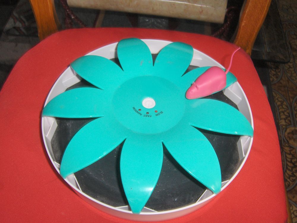 Jeu pour chat, plateau rond 24 cm, �volution d'une souris su 10 Sauchy-Cauchy (62)