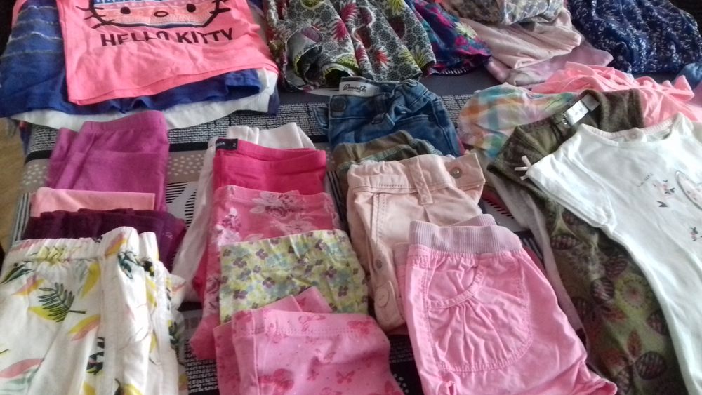 Pour puces 0 Toulon (83)