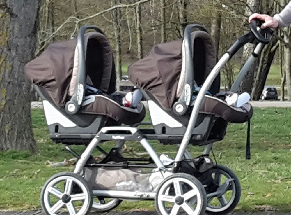 poussette peg perego duette occasion