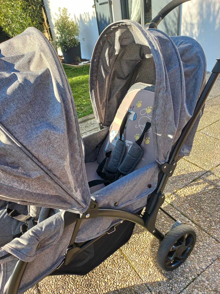 poussette double 135 Thorey-en-Plaine (21)