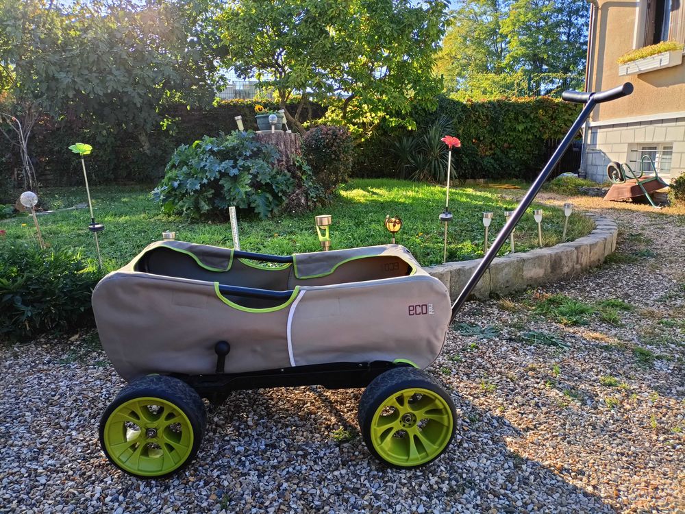 poussette 2 enfants OU voir 2 petits chiens 120 Aubergenville (78)