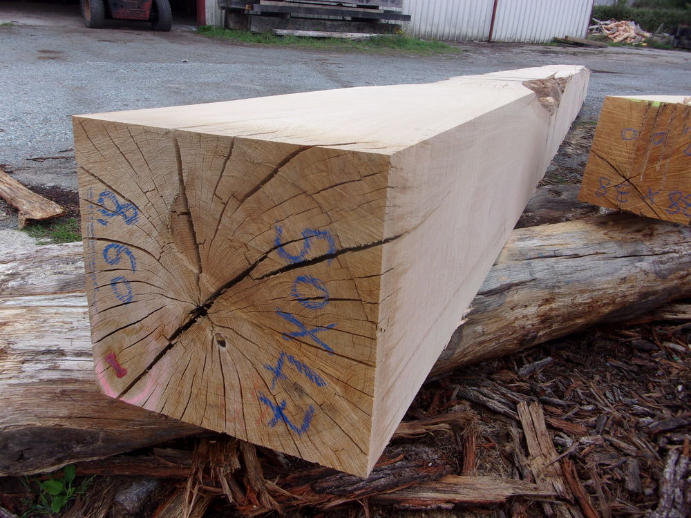 poutre ch�ne 50x47  8m60 1 Pompaire (79)