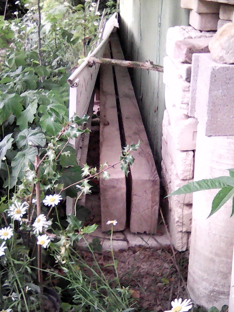 2 poutres bois  24 cm x 10 cm . une de 3m et une de 3m25 145 Boll�ne (84)