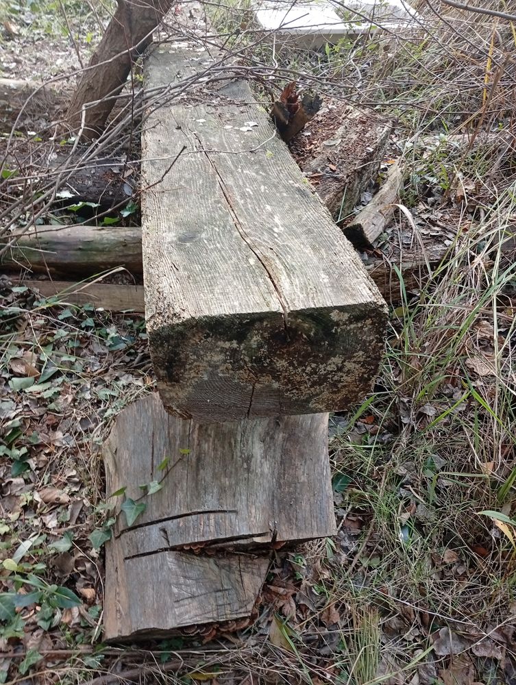 Poutres en h�tre 1 Millas (66)