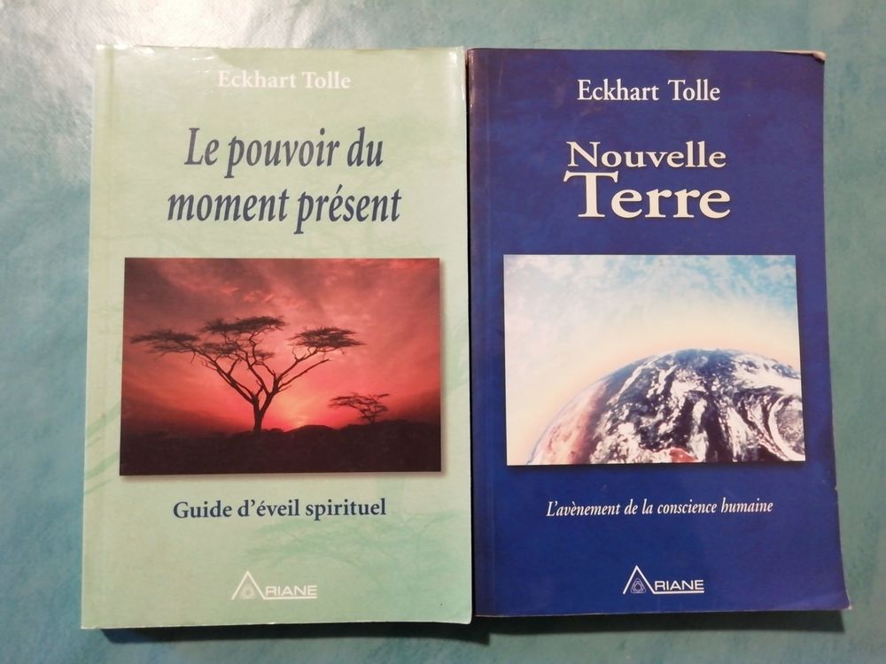 Le Pouvoir du Moment Pr�sent  et Nouvelle Terre d'E.Tolle 10 Lastours (11)