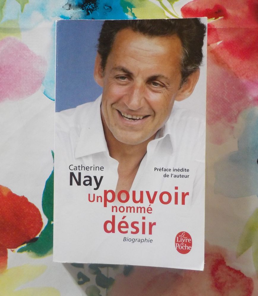 UN POUVOIR NOMME DESIR (Sarkozy) par C. NAY 2 Bubry (56)