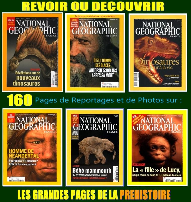 PR�HISTOIRE - national g�ographic - HISTOIRE 20 Lille (59)