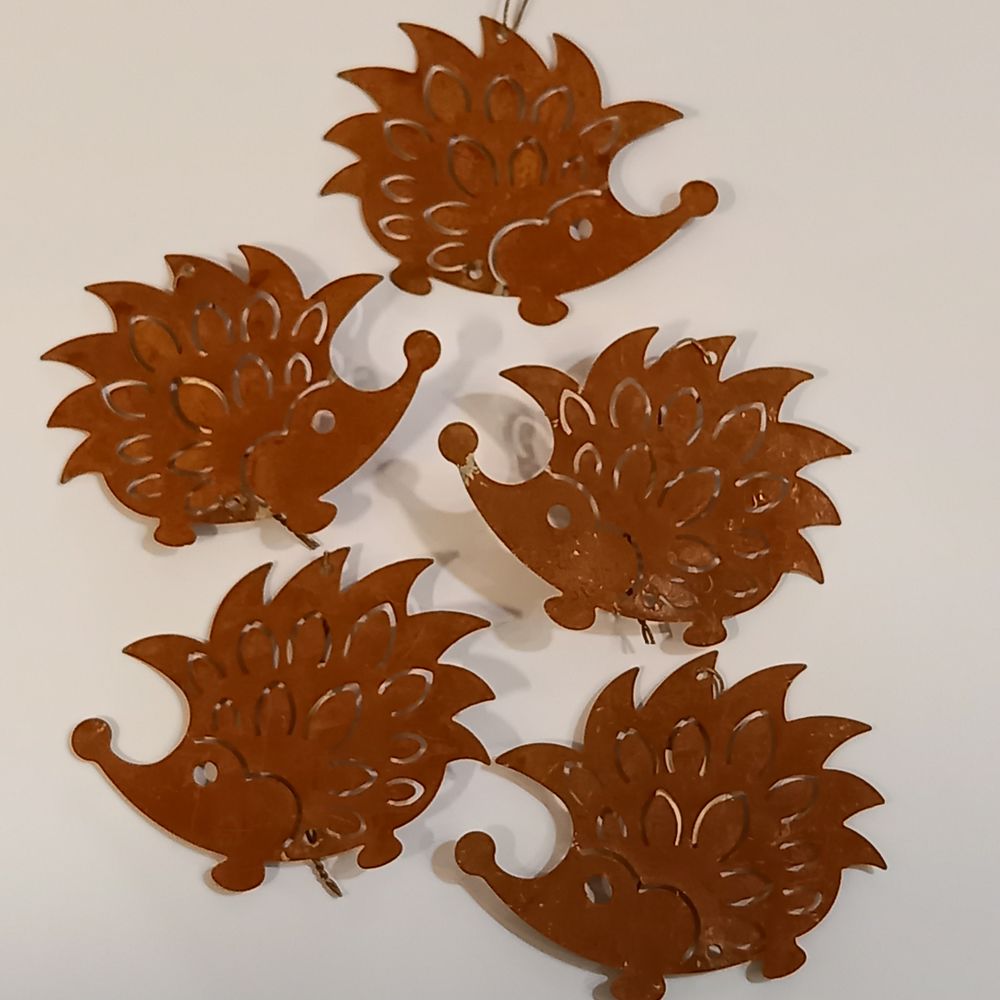 Prenez dans votre main 5 h�rissons sans vous piquer 5 Saumur (49)