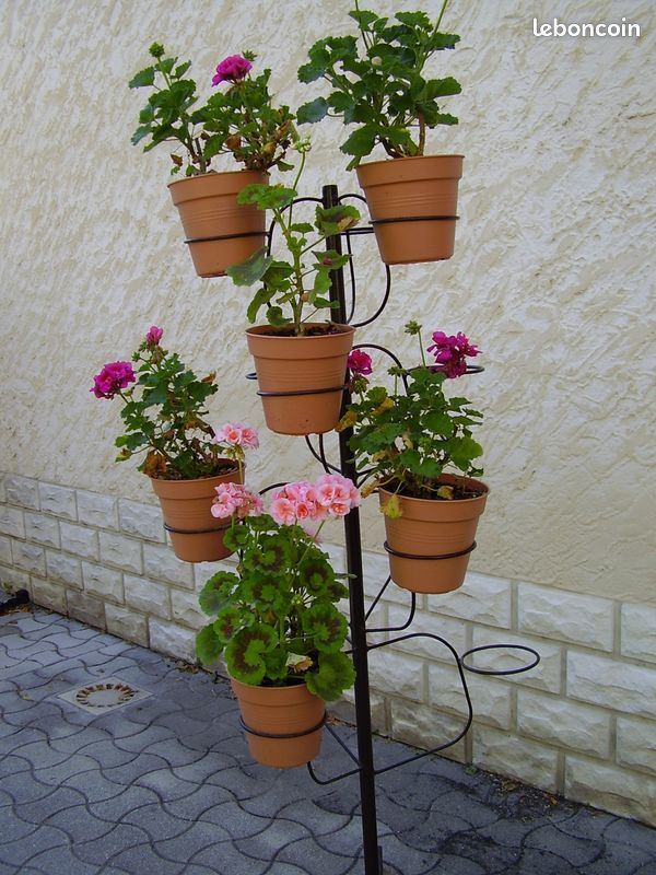 Pr�sentoir porte fleurs 50 Grenoble (38)