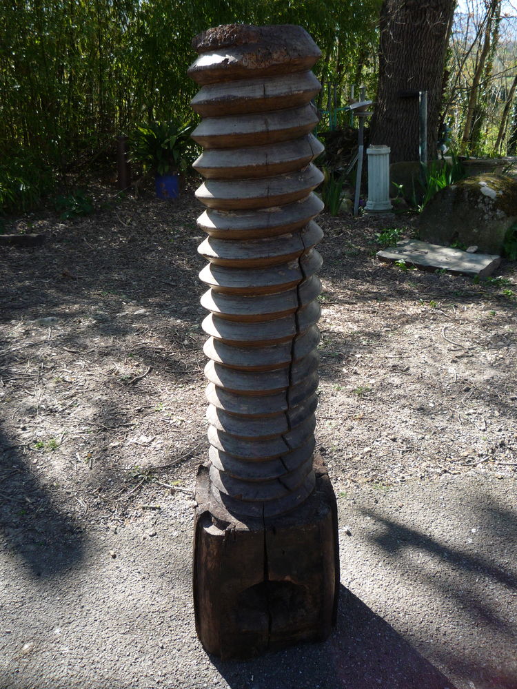 Vis de pressoir
125 Castres (81)