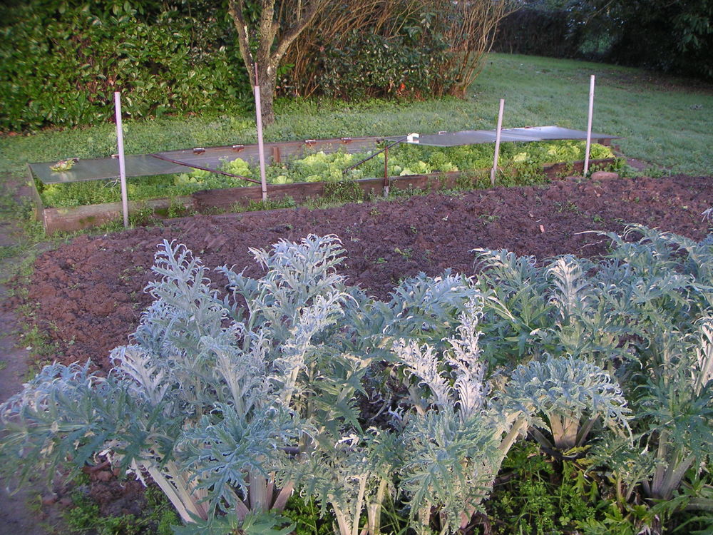 pr�te jardin potager 0 Saint-Herblain (44)