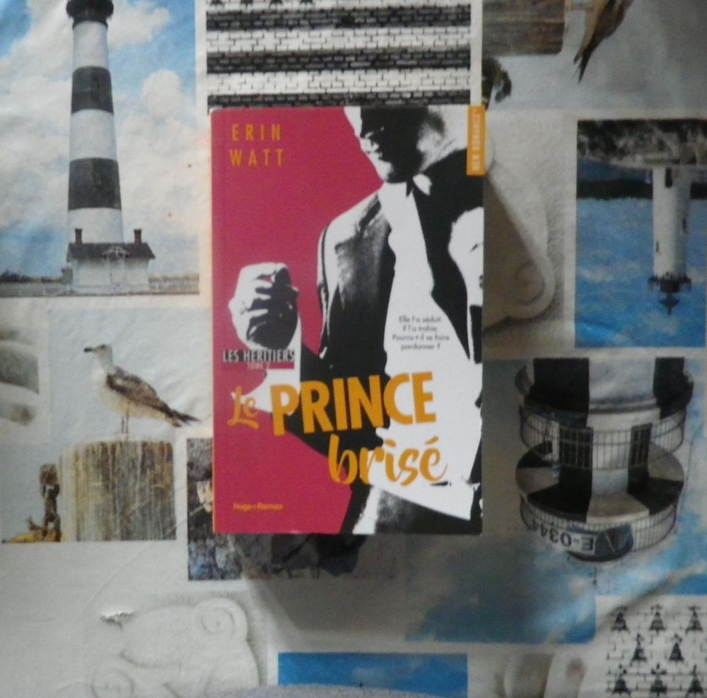 LE PRINCE BRISE T2 LES HERITIERS de Erin WATT Hugo New Roman 8 Bubry (56)