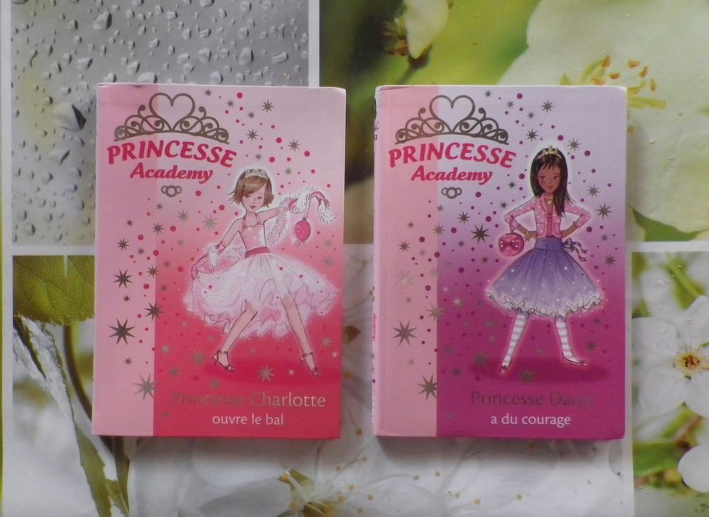 2 PRINCESSE ACADEMY BIBLIOTHEQUE ROSE (CHARLOTTE et DAISY) 3 Bubry (56)
