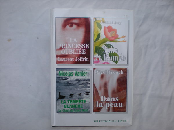 la princesse oubli�e de laurent joffrin 2 Bailleau-l'�v�que (28)