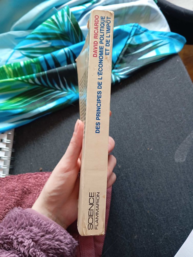 des+principes+de+l'�conomie+politique+et+de+l'imp�t 1 Nice (06)