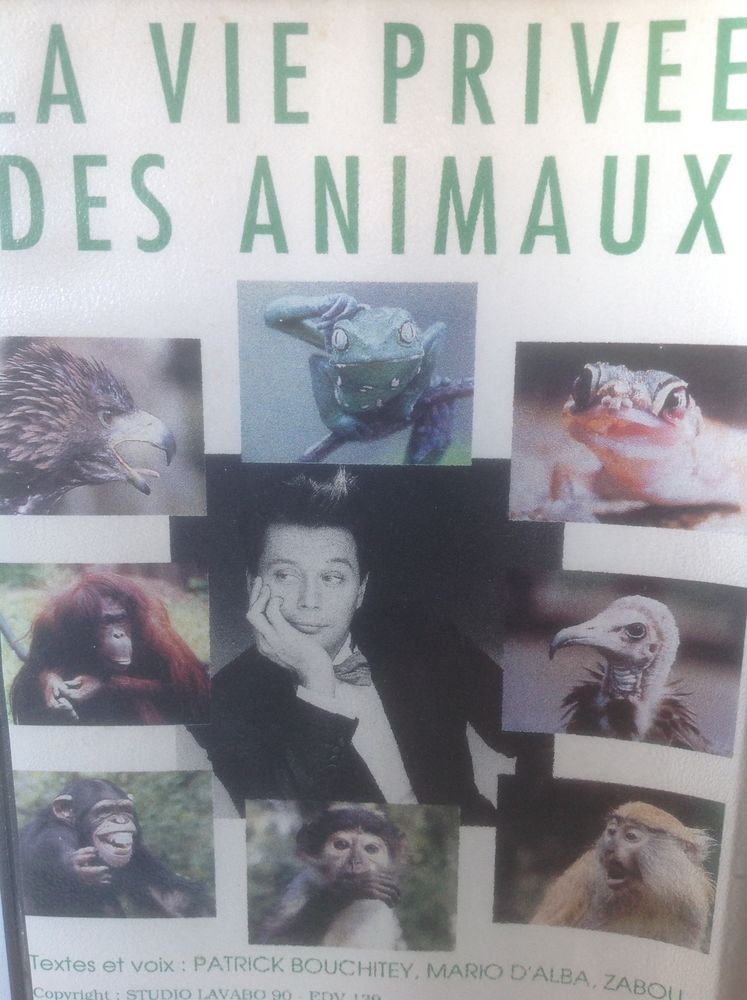 LA VIE PRIV�E DES ANIMAUX DE P.BOUCHITEY K7 VIDEO Envoi Poss 2 Tr�gunc (29)