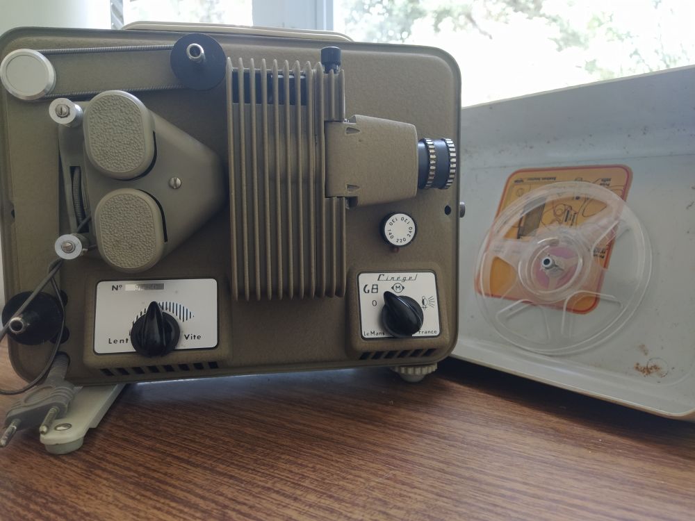 projecteur Cinegel s8 50 Meschers-sur-Gironde (17)