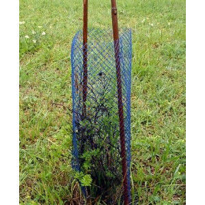 protection v�g�taux : arbres, vigne, plant truffier ect 1 Saint-Yrieix-sur-Charente (16)