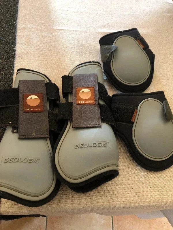 Protections cheval Geologic en tbe � 20 euros
20 Montr�al (32)