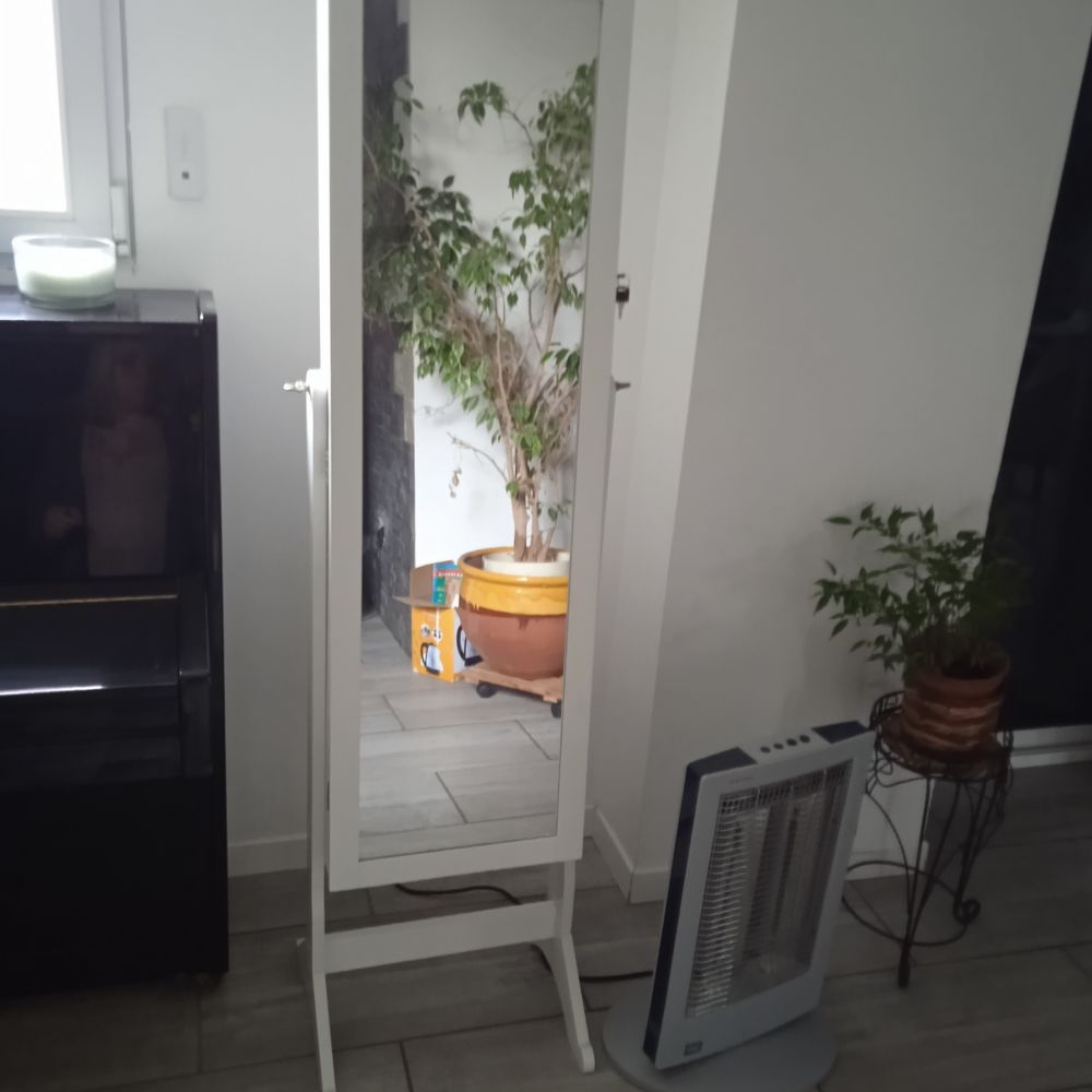 psych�e blanc bois armoire � bijoux super �tat 75 Salaise-sur-Sanne (38)