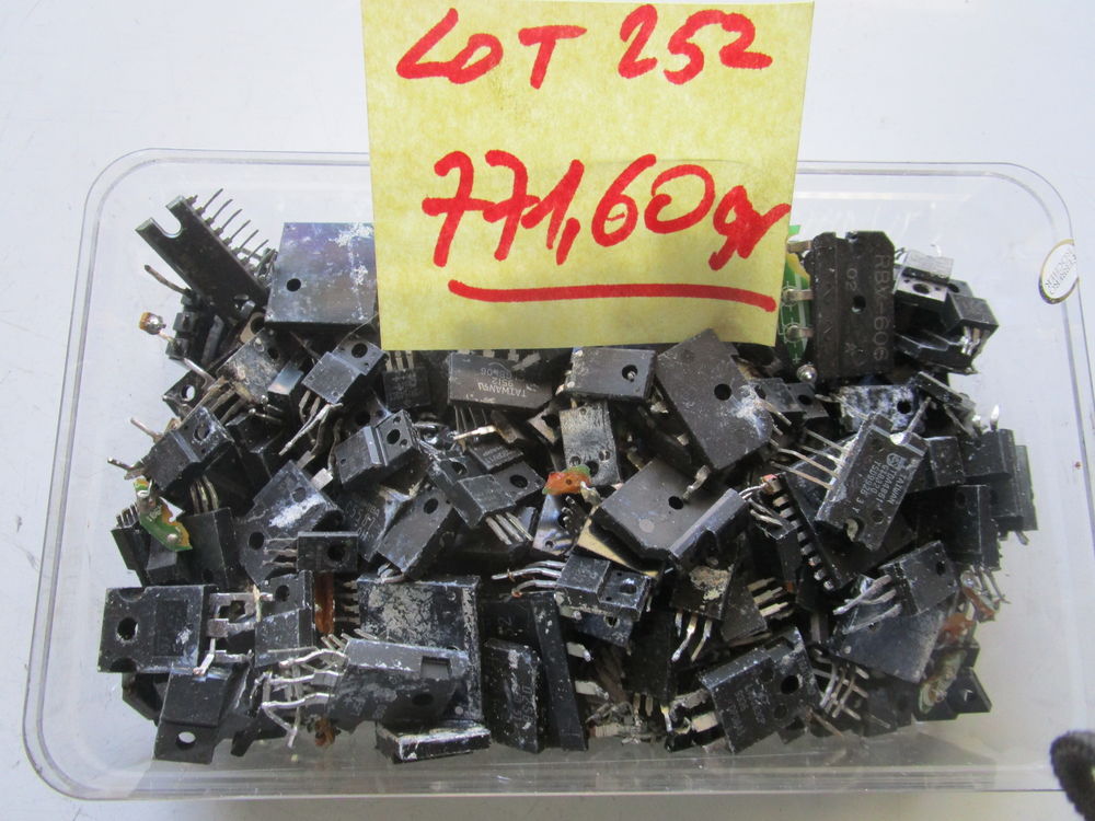 Puces electronique 25 Modenheim (68)