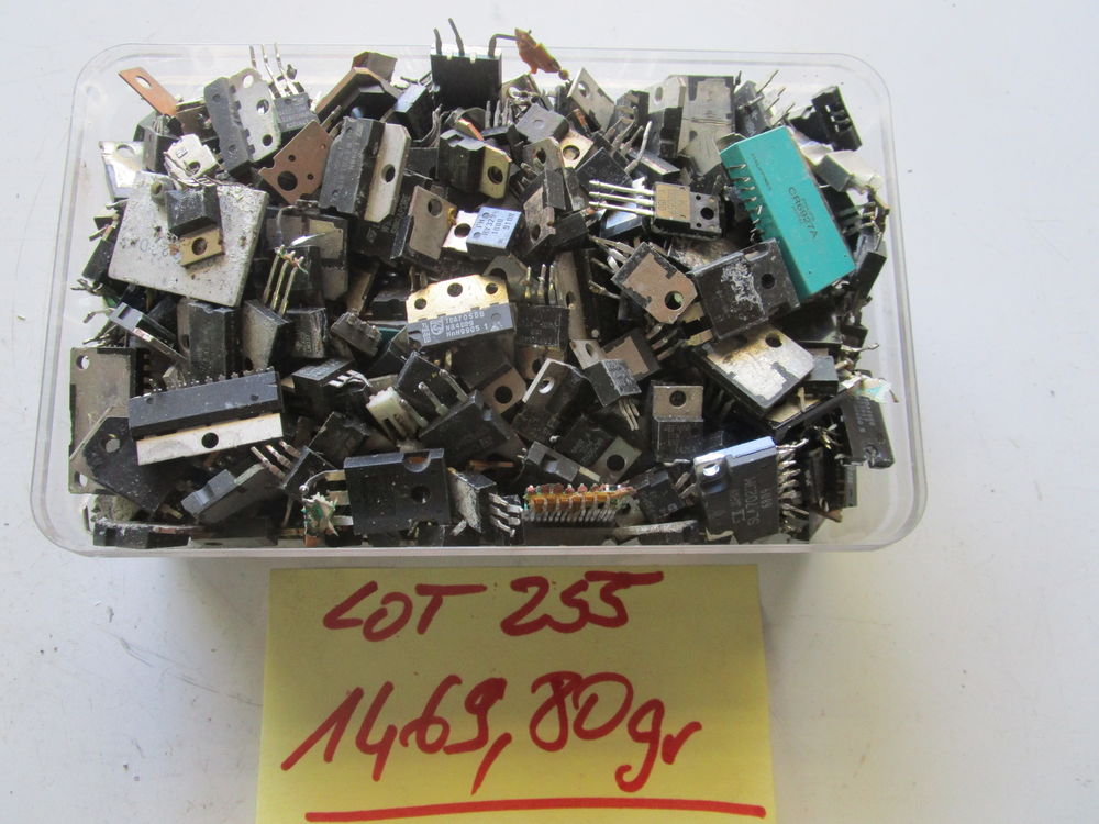 Puces ordinateurs plastic 45 Illzach (68)