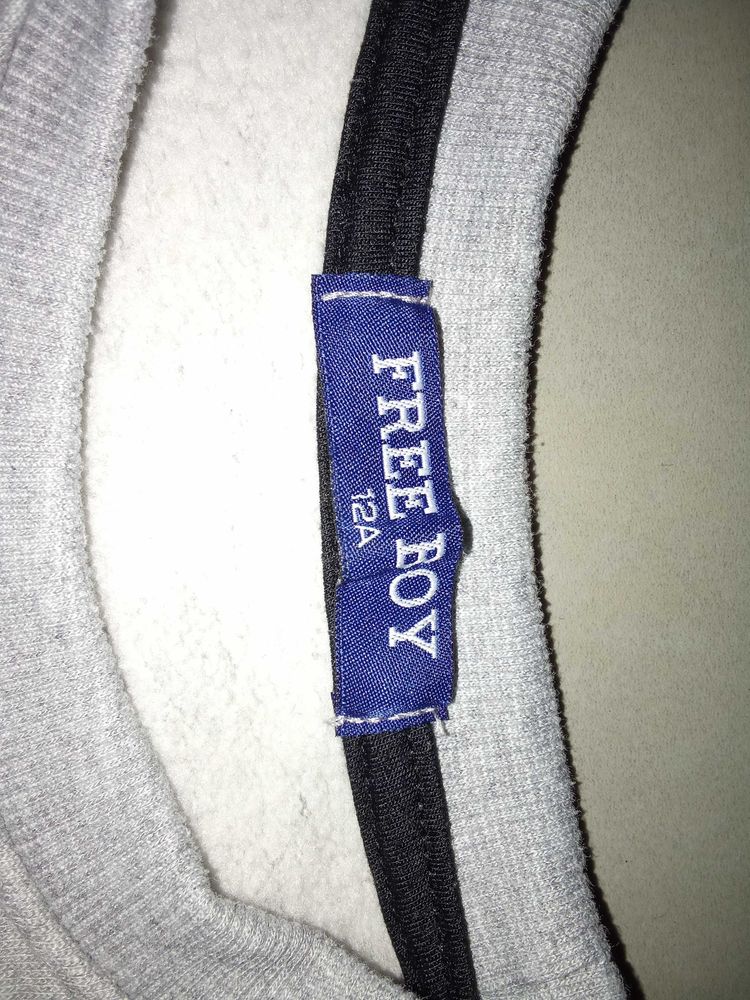 PULL DE COULEUR GRIS DE MARQUE   FREEBOY  . 4 �taples (62)