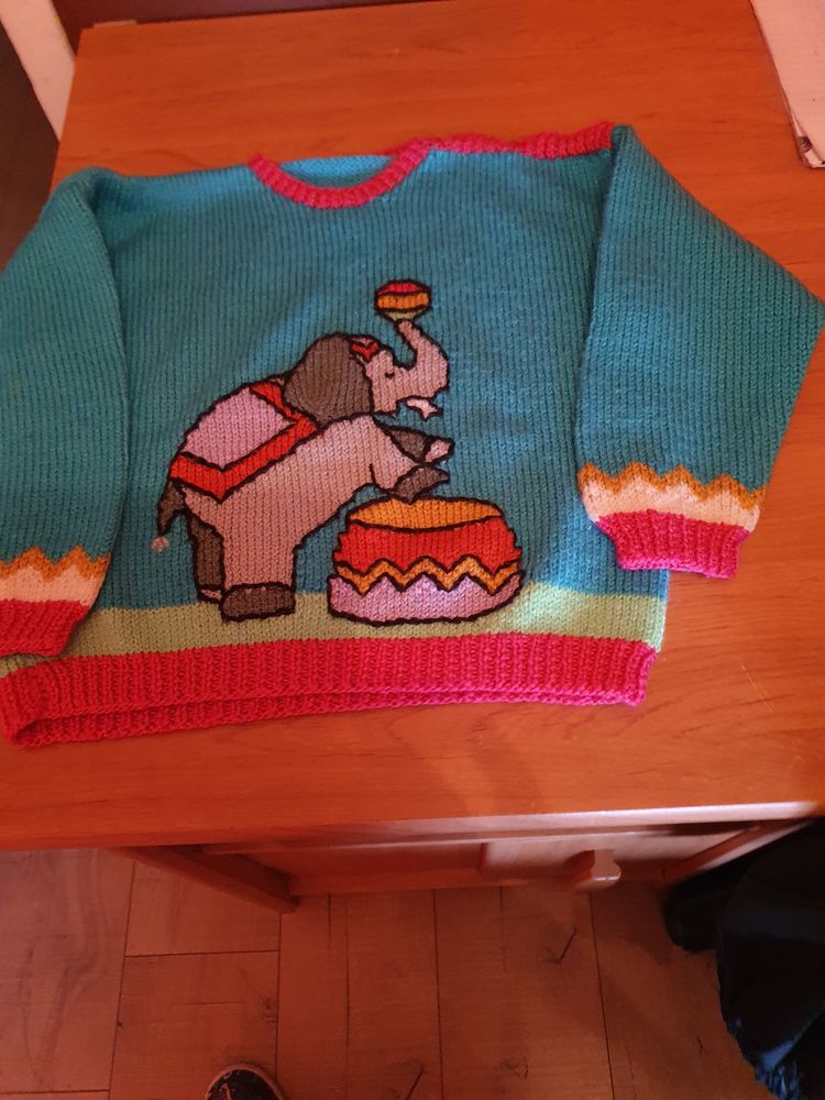 
PULL 3 ANS ELEPHANT TRICOTE MAIN NEUF
12 Colombey-les-Belles (54)