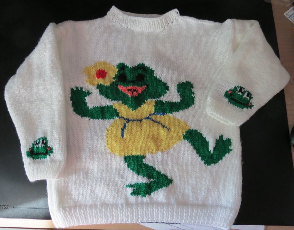 PULL ENFANT  GRENOUILLE  TAILLE 6 ANS - 100 % ACRYLIQUE 25 Niort (79)