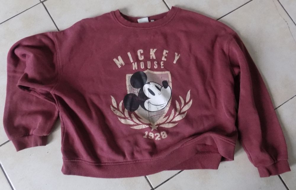Pull Mickey 2 La Motte-d'Aveillans (38)