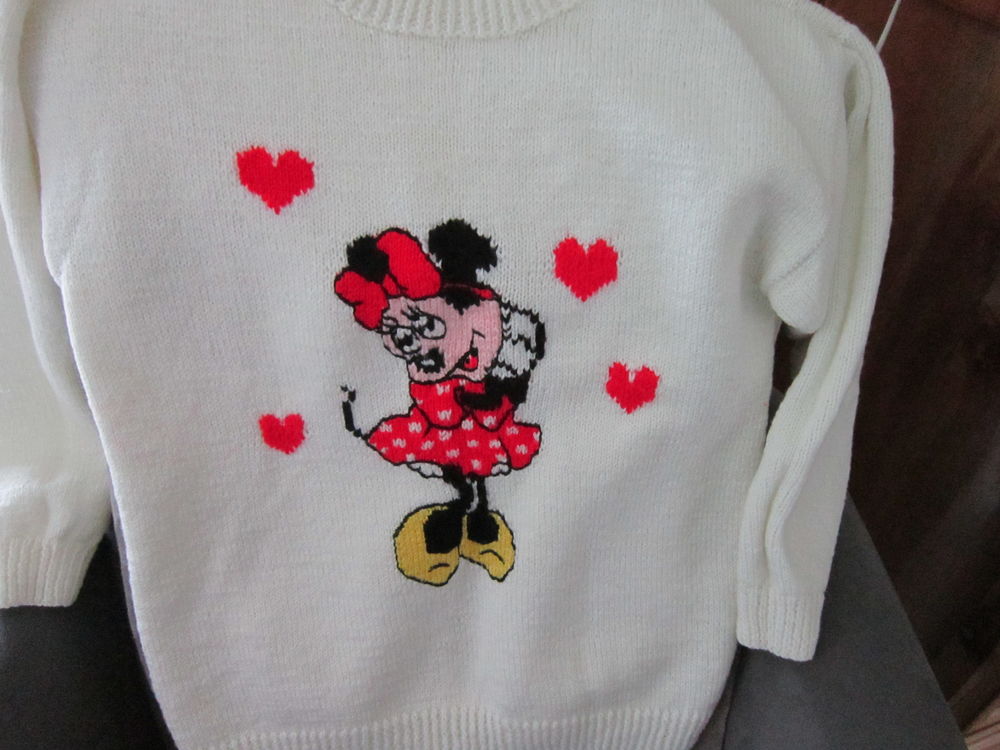pull over pour 10/12 ans 20 Basse-Goulaine (44)